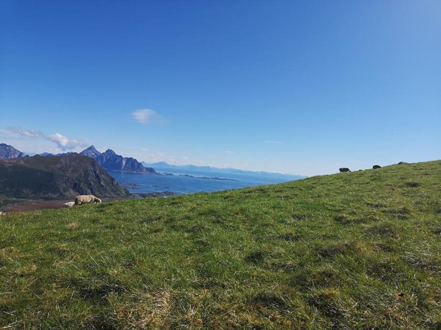 Hotel Glamping Lofoten Kongsjorda Exteriér fotografie